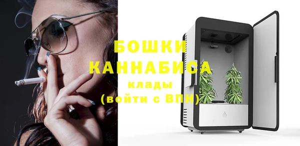 индика Куйбышев
